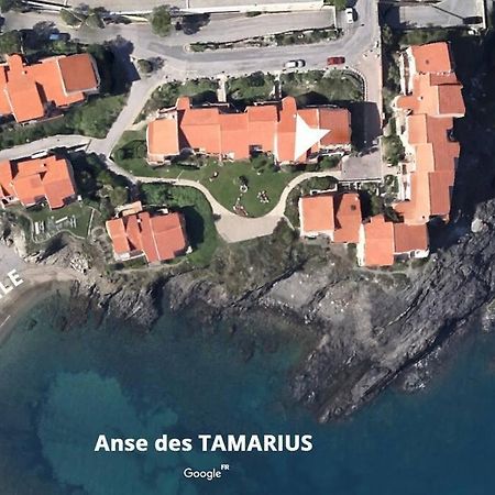 Collioure Appart En Bord De Mer Plage A 50M Clim Garage Location Du Samedi Au Samedi ภายนอก รูปภาพ